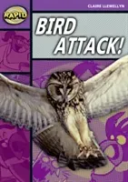 Rapid Reading: Bird Attack! (Stage 1, Level B) (Llewellyn Claire)(Paperback / softback)