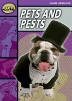 Rapid Reading: Pets and Pests (Stage 1, Level 1B) (Llewellyn Claire)(Paperback / softback)