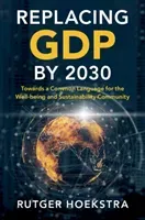 Replacing Gdp by 2030: Towards a Common Language for the Well-Being and Sustainability Community (Hoekstra Rutger)(Paperback)