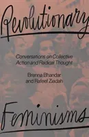 Revolutionary Feminisms: Conversations on Collective Action and Radical Thought (Bhandar Brenna)(Paperback)