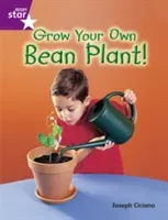 Rigby Star Guided Quest Purple: Grow Your Own Bean Plant!(Paperback / softback)