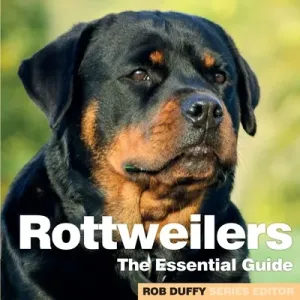 Rottweilers: The Essential Guide (Duffy Robert)(Paperback)