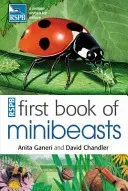RSPB First Book Of Minibeasts (Ganeri Anita)(Paperback / softback)
