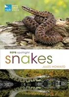 Rspb Spotlight Snakes (Howard Jules)(Paperback)