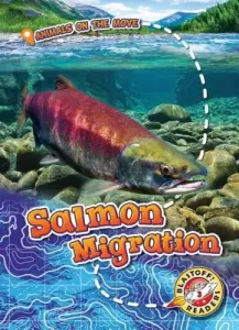 Salmon Migration (Schuetz Kari)(Library Binding)