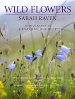 Sarah Raven's Wild Flowers (Raven Sarah)(Paperback)