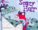 Scary Hair (Whybrow Ian)(Paperback)