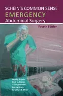 Schein's Common Sense Emergency Abdominal Surgery (Schein Moshe)(Paperback)