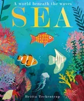 Sea - A World Beneath the Waves (Hegarty Patricia)(Paperback / softback)