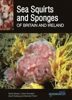 Sea Squirts and Sea Sponges of Britain and Ireland (Bowen Sarah)(Paperback)