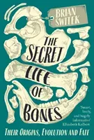Secret Life of Bones - Their Origins, Evolution and Fate (Switek Brian)(Paperback / softback)