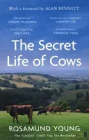 Secret Life of Cows (Young Rosamund)(Paperback / softback)