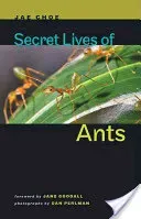 Secret Lives of Ants (Choe Jae)(Pevná vazba)