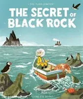 Secret of Black Rock (Todd-Stanton Joe)(Paperback / softback)