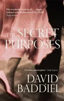 Secret Purposes (Baddiel David)(Paperback / softback)