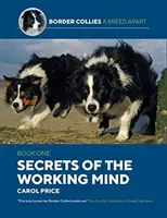 Secrets Of The Working Mind (Price Carol)(Paperback / softback)