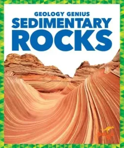 Sedimentary Rocks (Pettiford Rebecca)(Pevná vazba)
