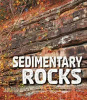 Sedimentary Rocks (Sawyer Ava)(Paperback / softback)