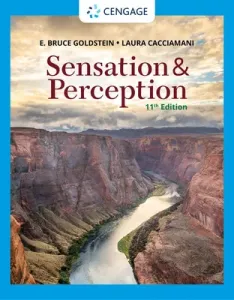 Sensation and Perception (Goldstein E. Bruce)(Paperback)