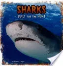 Sharks - Built for the Hunt (Gagne Tammy)(Paperback / softback)
