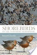 Shorebirds of the Northern Hemisphere (Chandler Richard)(Paperback / softback)