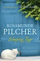 Sleeping Tiger (Pilcher Rosamunde)(Paperback / softback)