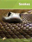 Snakes - Set 1 (Orme David)(Paperback / softback)