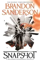 Snapshot (Sanderson Brandon)(Pevná vazba)
