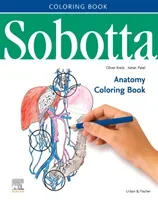 Sobotta Anatomy Coloring Book ENGLISCH/LATEIN (Kretz Oliver Priv.-Doz. D)(Spiral bound)