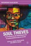 Soul Thieves: The Appropriation and Misrepresentation of African American Popular Culture (Brown T.)(Paperback)