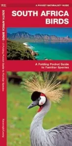 South Africa Birds: A Folding Pocket Guide to Familiar Species (Kavanagh James)(Paperback)