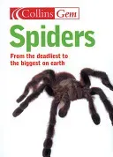 Spiders (Hillyard Paul)(Paperback / softback)