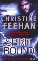 Spirit Bound - Number 2 in series (Feehan Christine)(Paperback / softback)