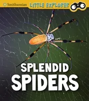 Splendid Spiders (Higgins Melissa)(Paperback / softback)