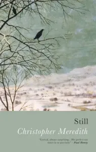 Still (Meredith Christopher)(Paperback)