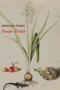 Stone Fruit (Perry Rebecca)(Paperback)
