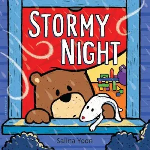 Stormy Night (Yoon Salina)(Board Books)