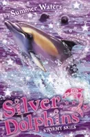 Stormy Skies (Silver Dolphins, Book 8) (Waters Summer)(Paperback)