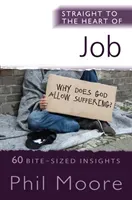 Straight to the Heart of Job: 60 Bite-Sized Insights (Moore Phil)(Paperback)