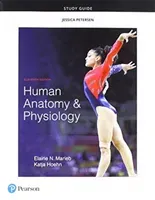Study Guide for Human Anatomy & Physiology (Marieb Elaine)(Paperback)