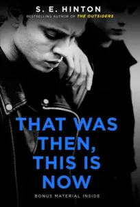 That Was Then, This Is Now (Hinton S. E.)(Paperback)