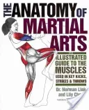 The Anatomy of Martial Arts: An Illustrated Guide to the Muscles Used in Key Kicks, Strikes, & Throws (Chou Lily)(Paperback)