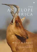 The Antelope of Africa (Frost Willem)(Paperback)