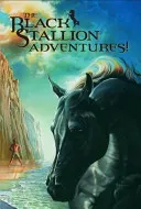 The Black Stallion Adventures: The Black Stallion Returns; The Black Stallion's Ghost; The Black Stallion Revolts (Farley Walter)(Boxed Set)
