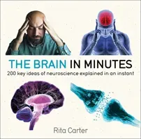 The Brain in Minutes: 200 Key Ideas of Neuroscience Explained in an Instant (Carter Rita)(Paperback)