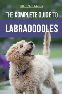 The Complete Guide to Labradoodles: Selecting, Training, Feeding, Raising, and Loving your new Labradoodle Puppy (de Klerk Joanna)(Paperback)