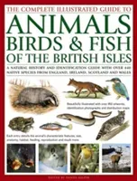 The Complete Illustrated Guide to Animals, Birds & Fish of the British Isles: A Natural History and Identification Guide with Over 440 Native Species (Gilpin Daniel)(Paperback)