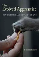 The Evolved Apprentice: How Evolution Made Humans Unique (Sterelny Kim)(Paperback)