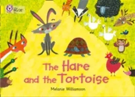 The Hare and the Tortoise (Williamson Melanie)(Paperback)