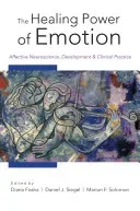 The Healing Power of Emotion: Affective Neuroscience, Development and Clinical Practice (Fosha Diana)(Pevná vazba)